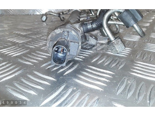 Топливная рампа r03l125a, 48b13640a02   Skoda Superb B6 (3T)   для двигателя CAY C