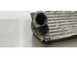 Интеркулер     Ford Transit -  Tourneo Connect 