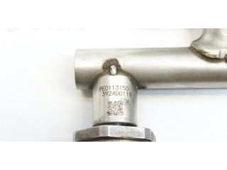 Топливная рампа PE0113150 Mazda 3 II 2.0 для двигателя PEY7