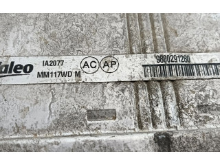 Интеркулер 9800291280, 9800291280 Citroen Berlingo