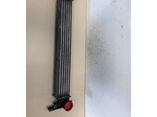 Интеркулер  R4642004, R4642004   Seat Ibiza IV (6J,6P) 