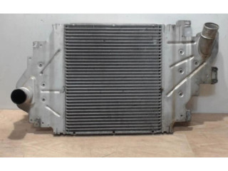 Интеркулер 8200685747, 8200685747 Renault Clio II