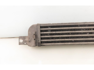 Интеркулер 52401015, 52401015 Opel Meriva A