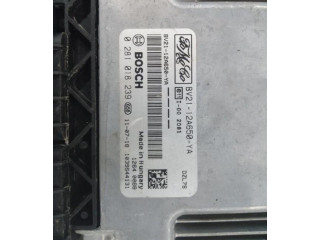 Блок управления впрыском 0281018239, 0281018239 Ford Fiesta