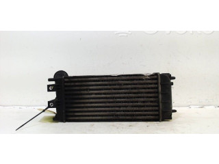 Интеркулер     Citroen DS4 