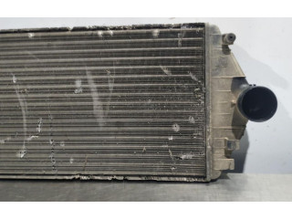 Интеркулер     Peugeot Expert 