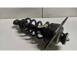 Задний aмортизатор      