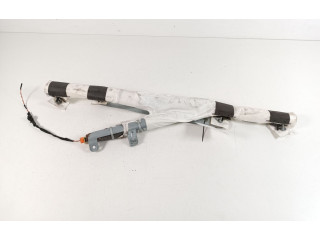 Надувная подушка для крыши 103675700G Tesla Model X