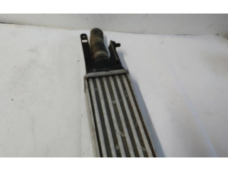 Интеркулер     Fiat Grande Punto 