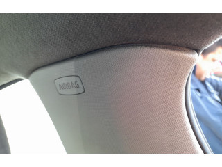 Надувная подушка для крыши Skoda Rapid (NH) двигателя CAYC