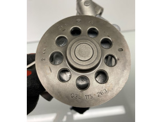 Масляный насос 03L115105B, 11021000 Skoda Octavia Mk2 (1Z)