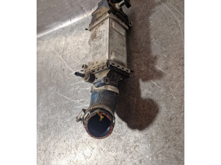 Интеркулер Skoda Rapid (NH)