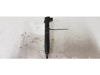 Форсунка A6510700587 Jeep Compass для дизельного двигателя 2.2