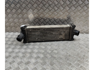 Интеркулер GK216K775AE Ford Transit - Tourneo Connect