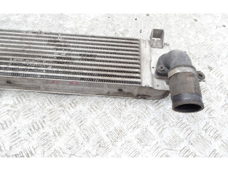 Интеркулер G3062007, 14461BB30A Nissan Qashqai+2