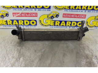 Форсунка 8200221885, 8200221885    Nissan Kubistar  K9K-704 