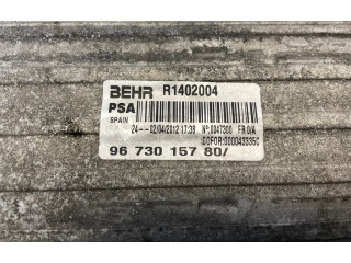 Интеркулер  9673015780, R1402004   Peugeot 5008 