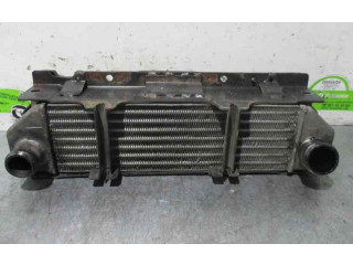 Интеркулер 279014600108, 402181 Tata Indigo I