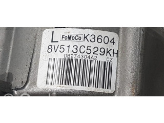 Volant Ford Fiesta 2009 8V513C529, COLUMNADIRECCION