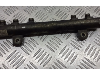 Vstřikovací lišta 55200517 Fiat Punto (188)