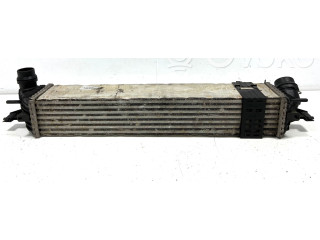 Интеркулер  144960001RG, 144960001R   Renault Laguna III 2.0