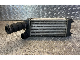 Интеркулер  9656503980   Peugeot 3008 I 