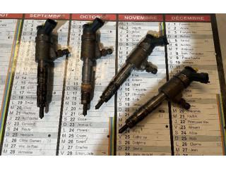 Жиклер (жиклеры) (форсунка (форсунки) 1980EJ, 1980EJ   Citroen C3