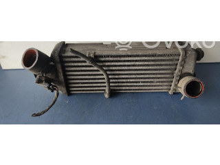 Интеркулер     KIA Rio 