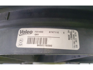 Вентилятор радиатора     1253K2, W0-6053S    Citroen C4 I 