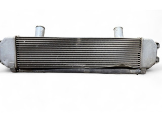 Интеркулер     Fisker Karma 