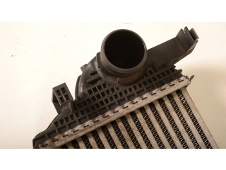 Интеркулер  55038004AD   Jeep Grand Cherokee (WK) 