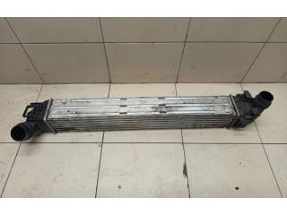 Интеркулер Dacia Duster