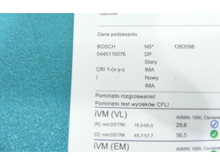 Форсунка 0445110076, IMPRK1263598    Peugeot Expert   