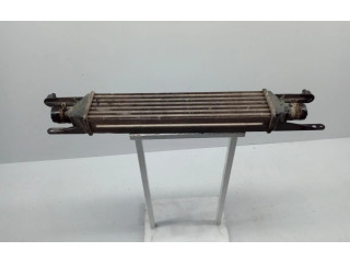 Интеркулер     Fiat Punto (199) 