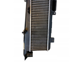 Интеркулер 50277534, 50277534 Peugeot 306