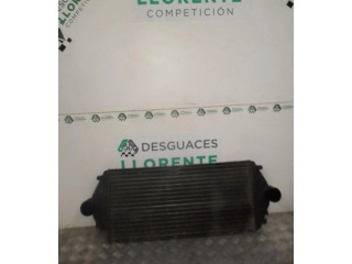 Интеркулер     Peugeot Expert 