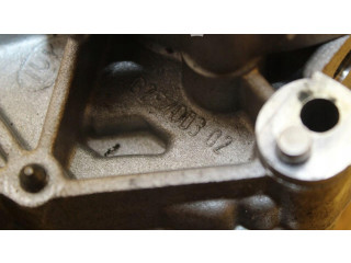 Čerpadlo oleje Audi A4 S4 B6 8E 8H