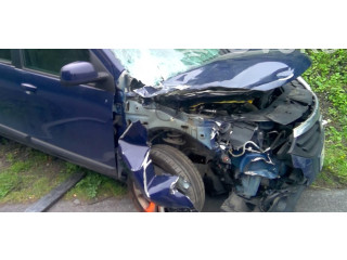 Панель приборов 248107594R   Dacia Lodgy       