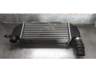 Интеркулер Ford Transit - Tourneo Connect