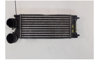 Интеркулер     Citroen Berlingo 