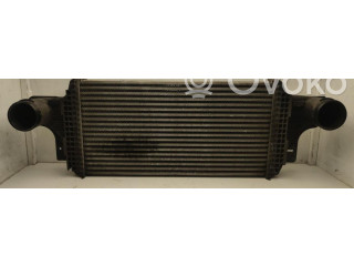 Интеркулер     Mercedes-Benz ML W164 