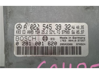 Блок управления A0225453932, 02810001620   Mercedes-Benz E AMG W210