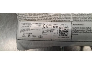 Подушка безопасности в сиденье 4K0880441G Audi e-tron