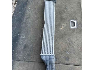 Интеркулер  A2115003902, 3275377   Mercedes-Benz E W211 3.0