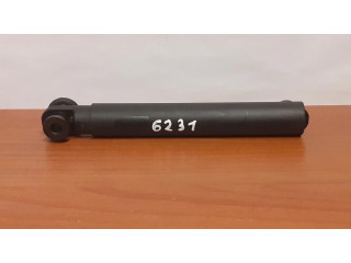 Пружина (пружины) задней крышки