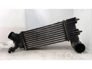 Интеркулер 384F3 Peugeot 406 2.0