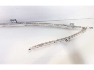 Подушка безопасности двери 1Z5880741G Skoda Octavia Mk2 (1Z)