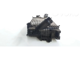 Интеркулер T2935004 Opel Meriva B