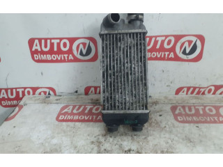 Интеркулер     Suzuki Liana 