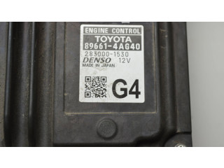 Řídící jednotka 896614AG40, 2830001530 Toyota RAV 4 (XA50) 2022
